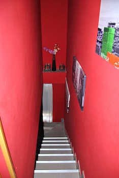 collado mediano
