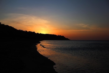 minoa pediada