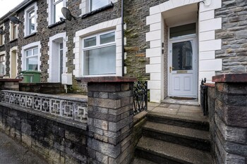 mountain ash