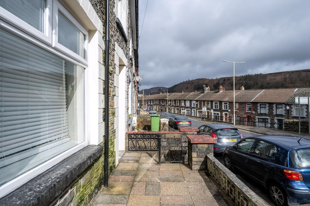 mountain ash