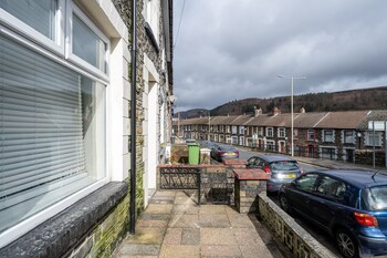 mountain ash