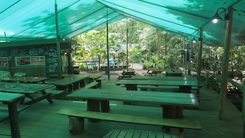 Daintree Crocodylus,Cow Bay>>Cape Tribulation,3 star