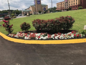 lotus inn and suites