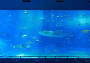hotel mahaina wellness resort okinawa