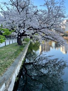 ueno hotel