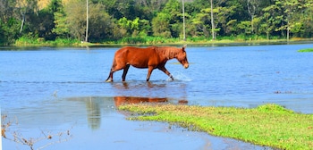 nazare paulista