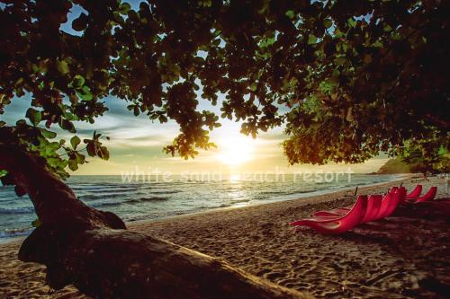 white sand beach resort