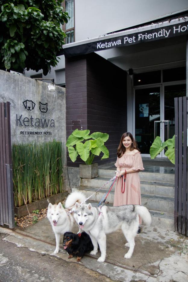ketawa pet friendly hotel