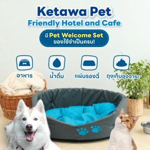 ketawa pet friendly hotel