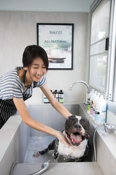 Ketawa Pet Friendly Hotel,Chiang Mai>>Chang Moi,3 star