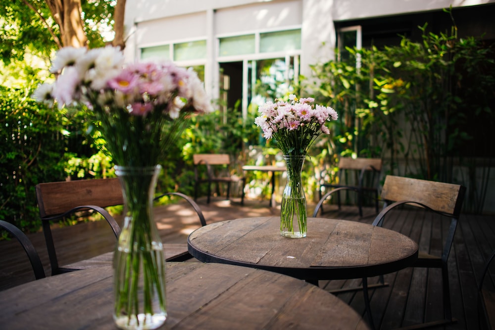 ketawa pet friendly hotel