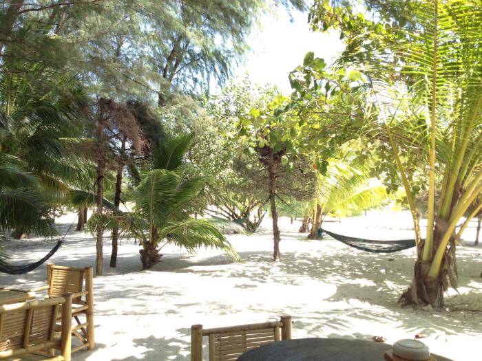 ko pha ngan
