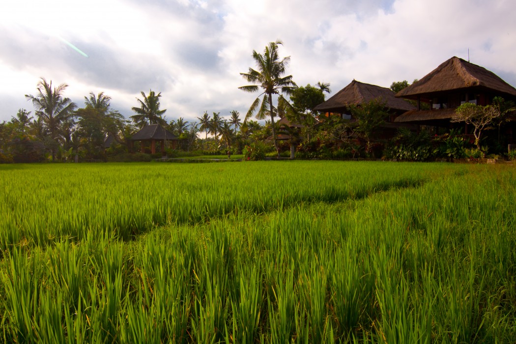 agung raka resort and villa