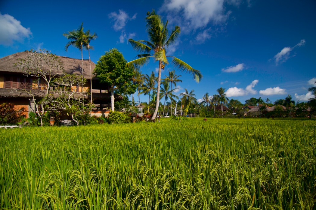 agung raka resort and villa