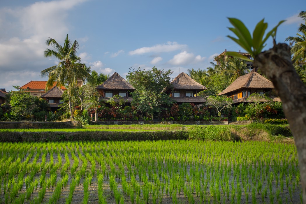 agung raka resort and villa