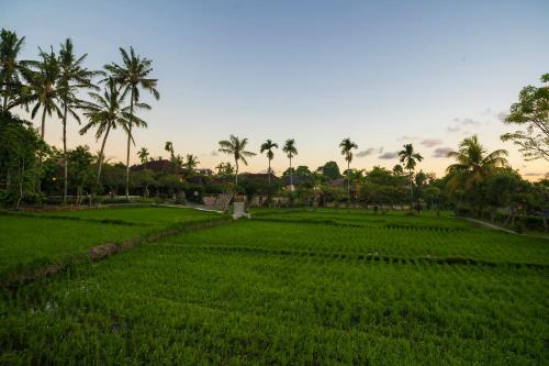 agung raka resort and villa