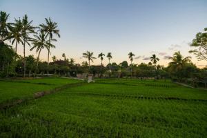 agung raka resort and villa