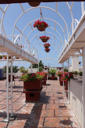 hotel sindibad