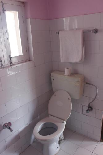 hotel fishtail villa