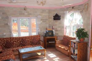 hotel fishtail villa