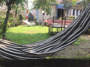 hotel fishtail villa