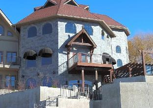 the castle at swan lake