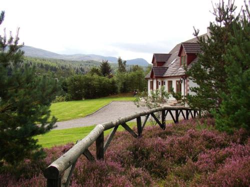 binnilidh mhor bandb