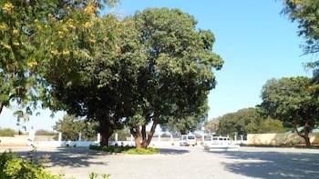livingstone