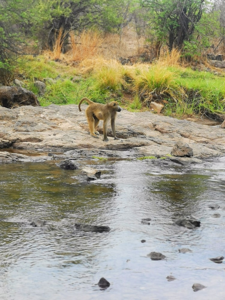 oriental swan hotel livingstone