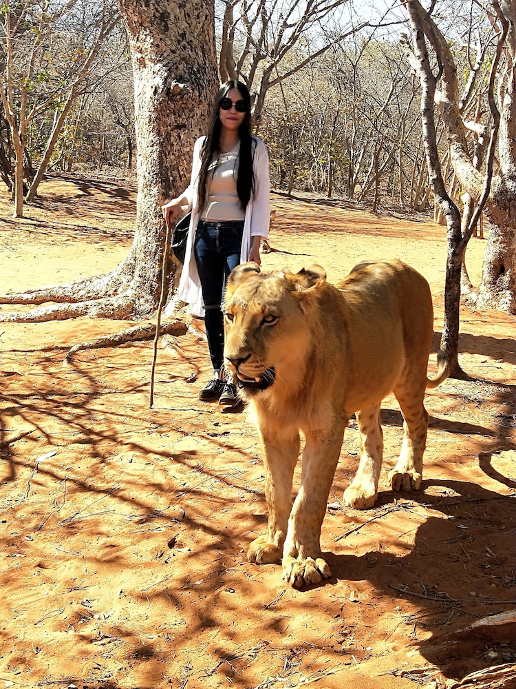 oriental swan hotel livingstone