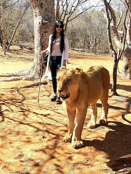 oriental swan hotel livingstone