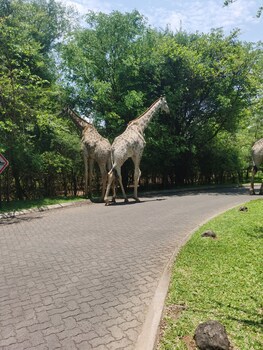 Oriental Swan Hotel Livingstone,Southern>>Livingstone,4 star