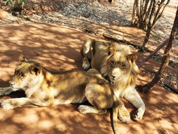 Oriental Swan Hotel Livingstone,Southern>>Livingstone,4 star