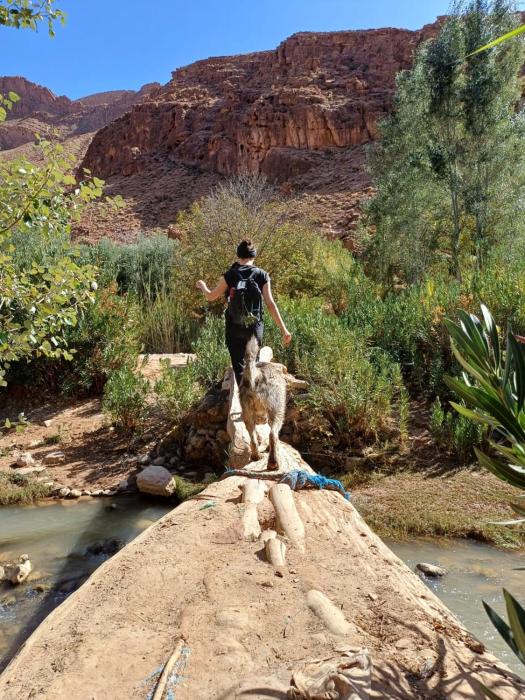 ait sedrate jbel el soufla