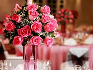 mercure alameda quito