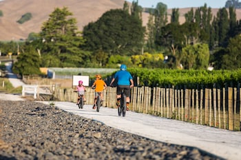 havelock north motor lodge