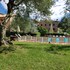 volterra