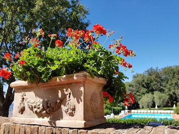 volterra