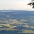 volterra