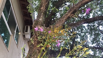 hotel pousada calliandra