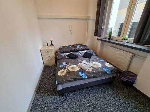 fantastic inn warsaw jasna