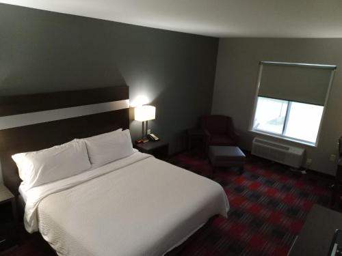 holiday inn express and suites bonham by ihg