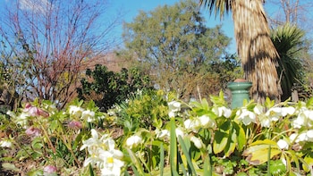 Hartley Homestead Boutique B And B,Central Otago>>Alexandra,4 star