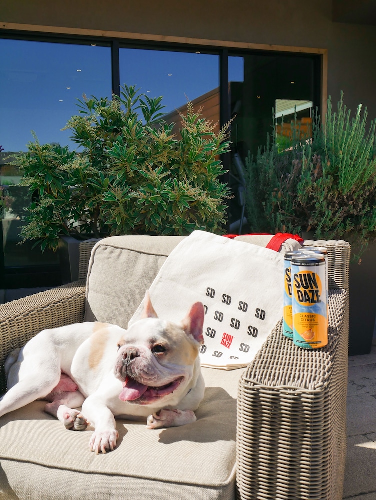 the nest hotel palo alto