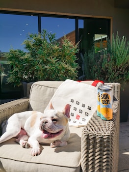 the nest hotel palo alto