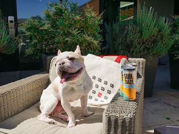 the nest hotel palo alto