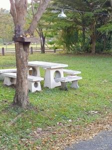 family resort khao yai pet friendly hotel