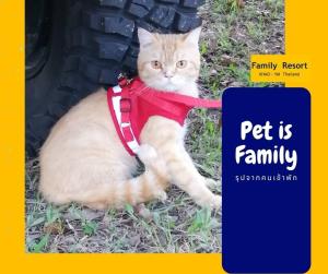 family resort khao yai pet friendly hotel