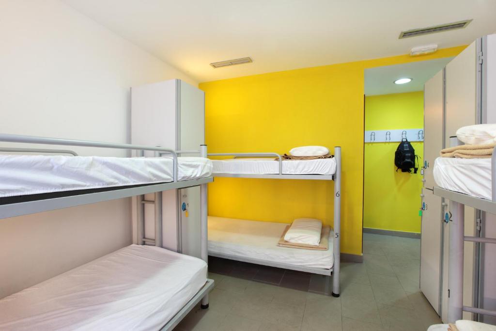 room00 valencia hostel