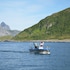 senja